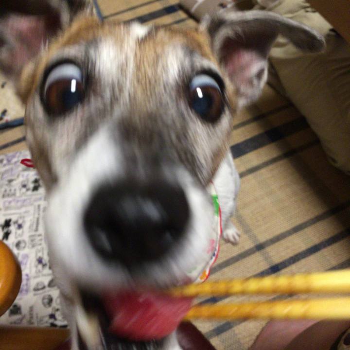 C00154ca 4e86 44db b9db db30bcf755bb 1573376536720