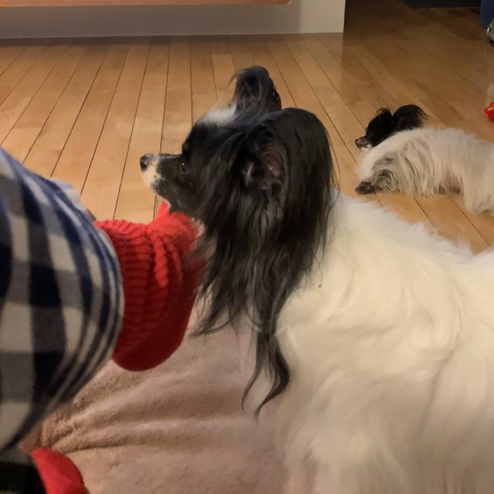 C00157ab 9fc2 4761 8ce2 a7cc8e4fd0ca 1618234011884