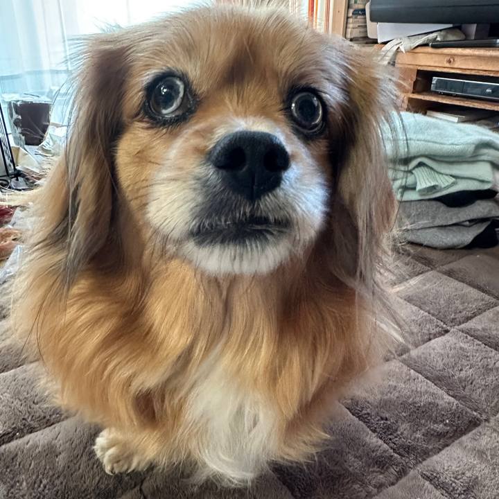 C0016880 89bc 4571 8df6 f7481a902bc9 1741556846015