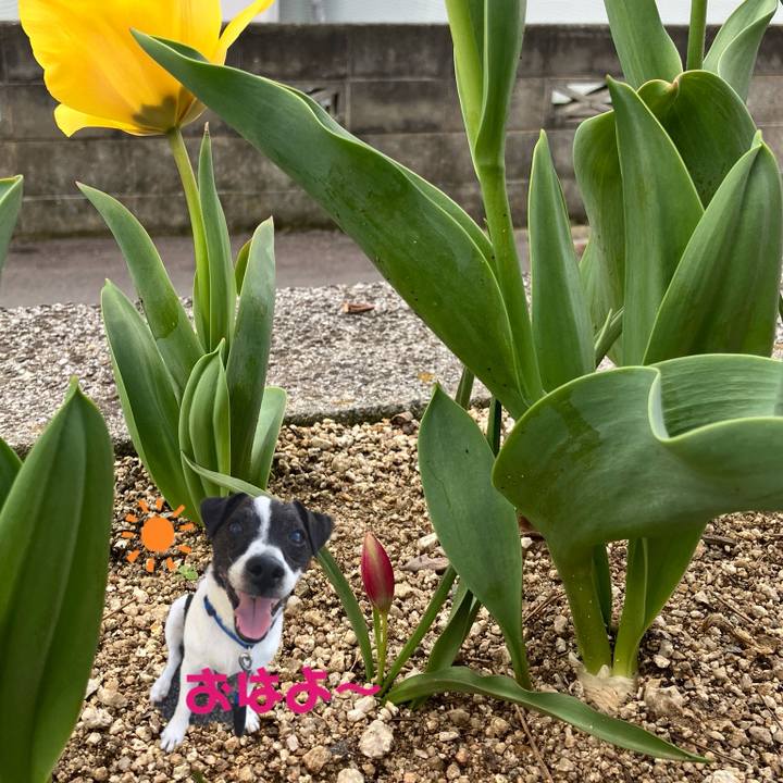 C00184a5 e174 45a0 9e02 890faf0d59a8 1775431429759