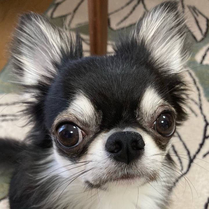 C00197ed 414c 4625 9071 8f16f126e39d 1624143446605