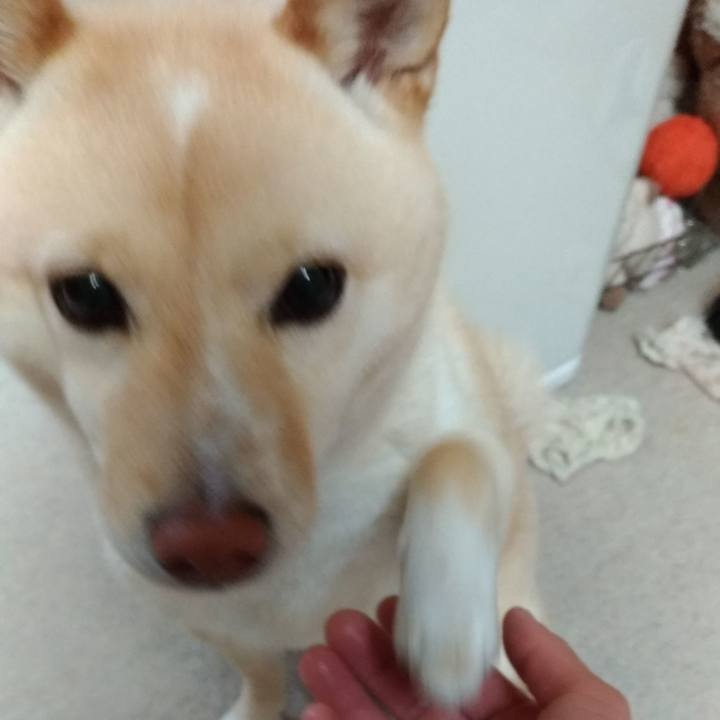 C001e3bb 8c4f 4efa bf6b 832420b5ecbf 1581889006087