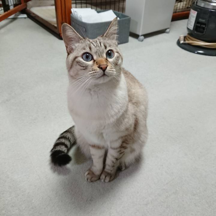 C0022de5 605d 4f3c 9b70 b7137c79eb1d 1573134541609