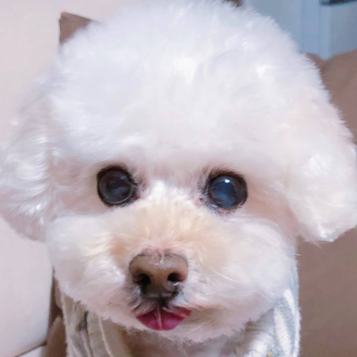 C0023df6 8fee 4b1d 80c5 0f60855ebe73 1548990437947