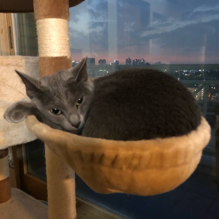 C0026915 731e 4a37 94bc 97fde6f32eee 1574844395140