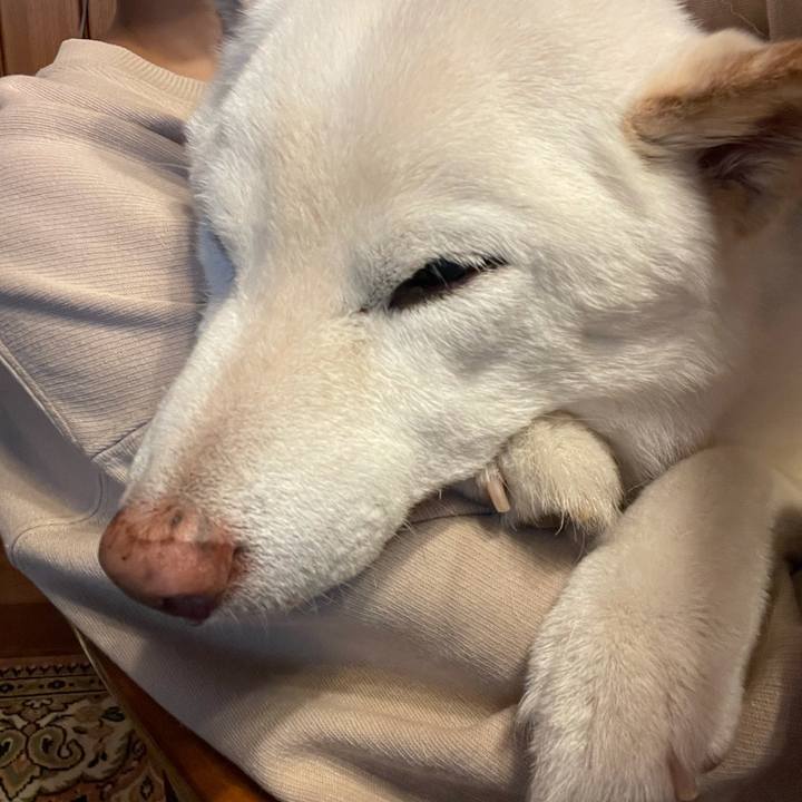 C002cfce bfec 44de 9a7f 2a9ab1c8900d 1639632127489