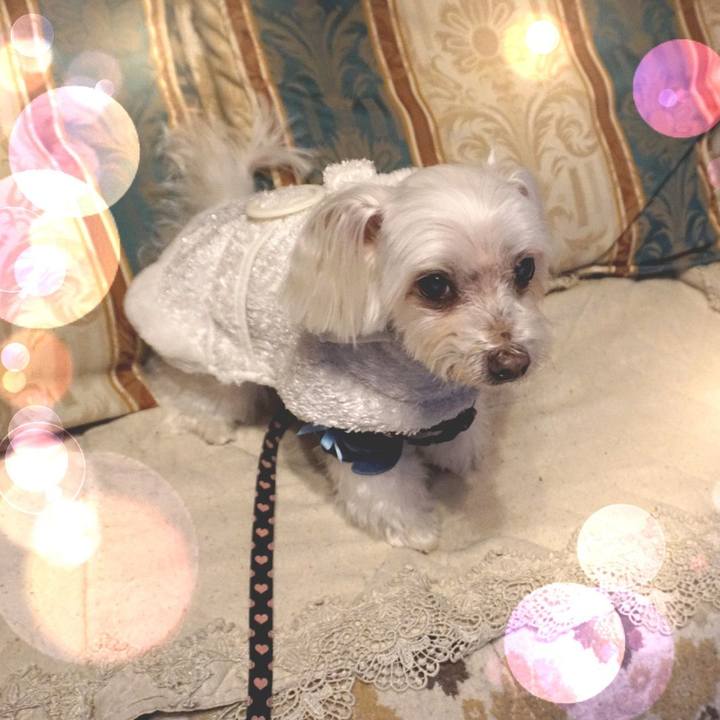 C002e250 b9a5 4fce 92e7 d246a3c5f311 1548390372395