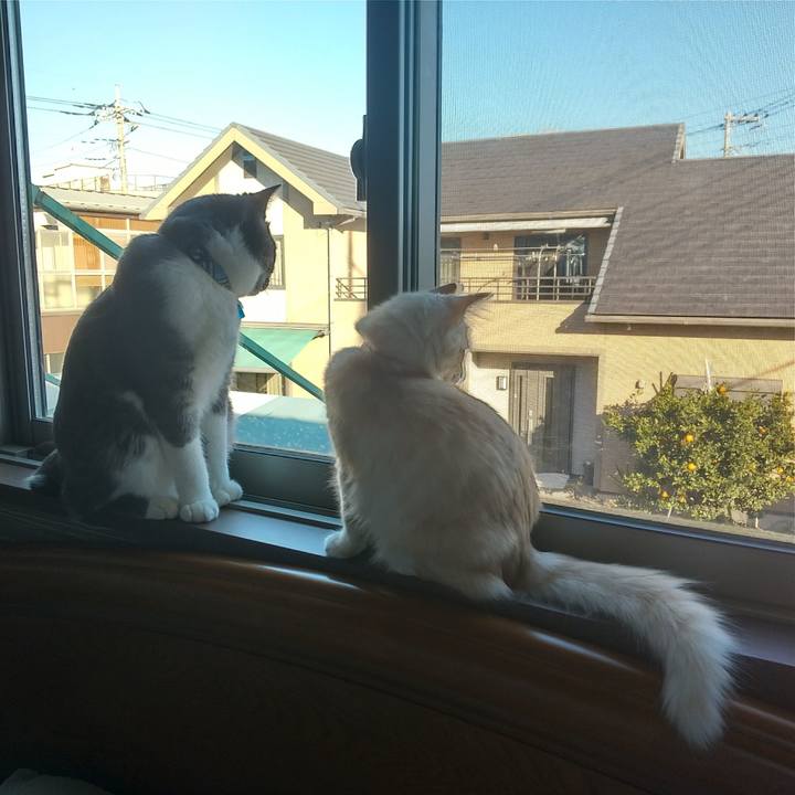 C002f467 e818 4fef 895b 4224c0d5ac95 1608421950703