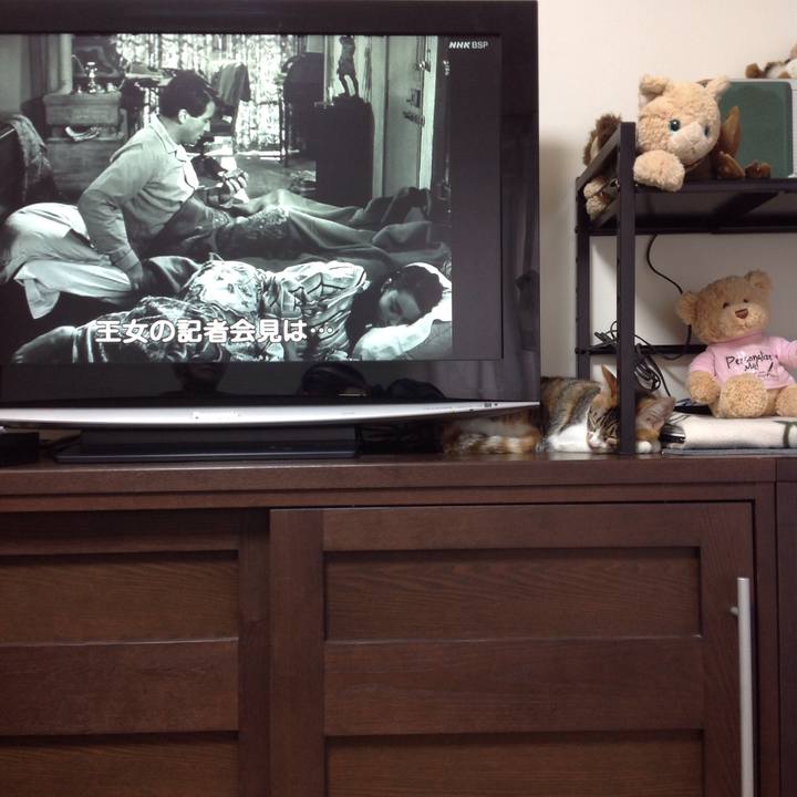 C0030be7 8f95 4e52 a06a 7754d406c537 1640921772553