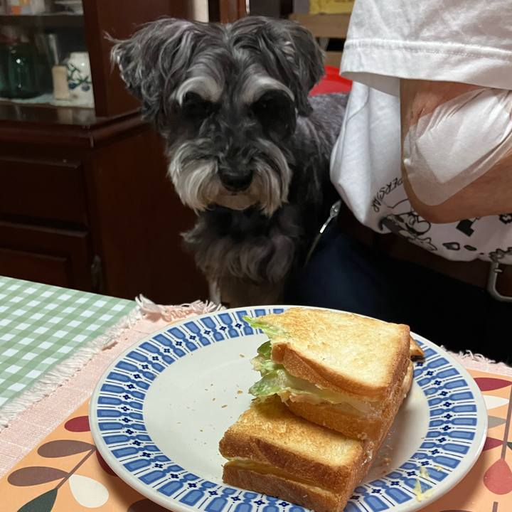 C00347d8 e7f1 4253 b51c 8ae9ba6823a8 1716126909125