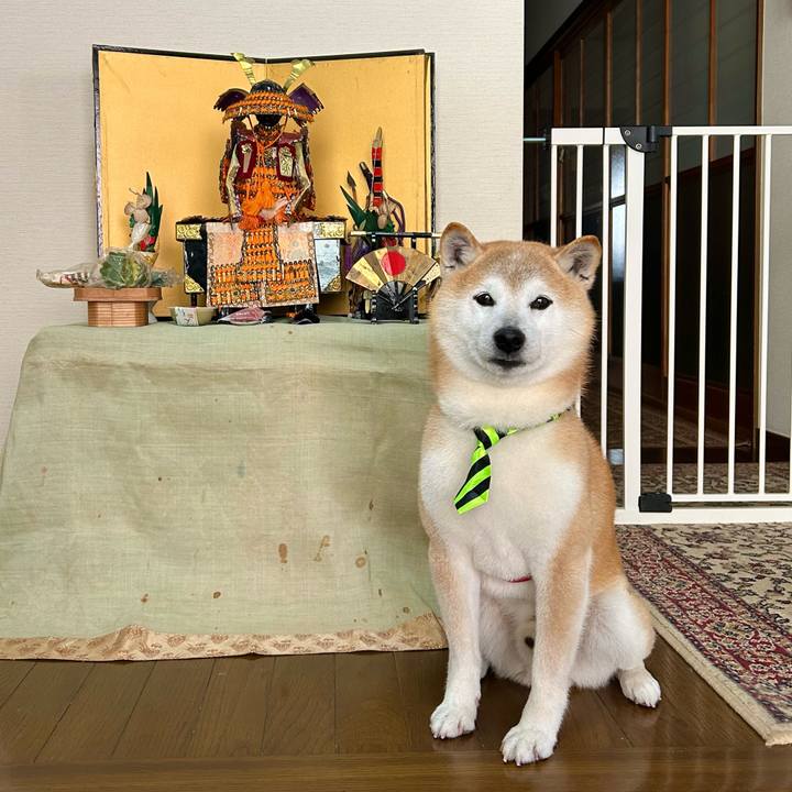 C0034c2e 61f4 4c51 82cb 803322e92c12 1744110250410