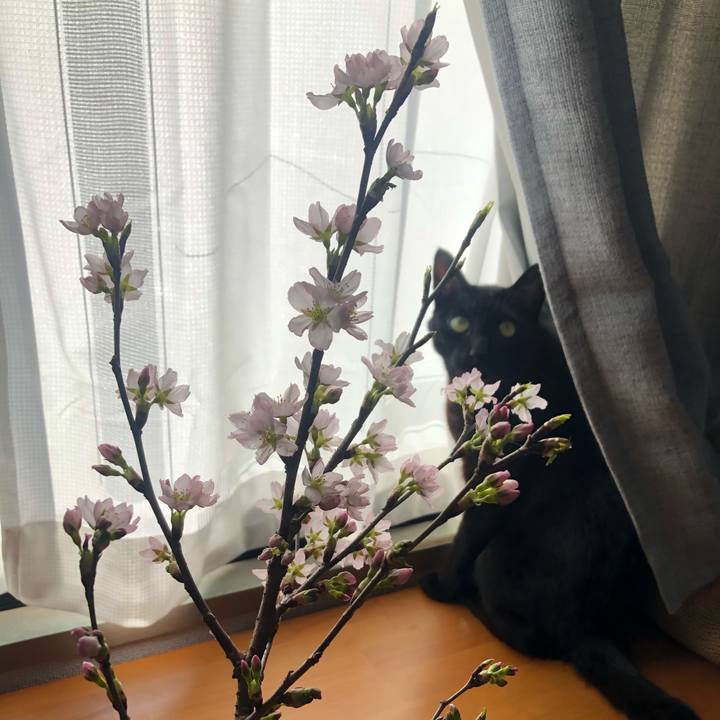 C003833e 70f6 4a93 9758 9acc9fa93838 1613694789172