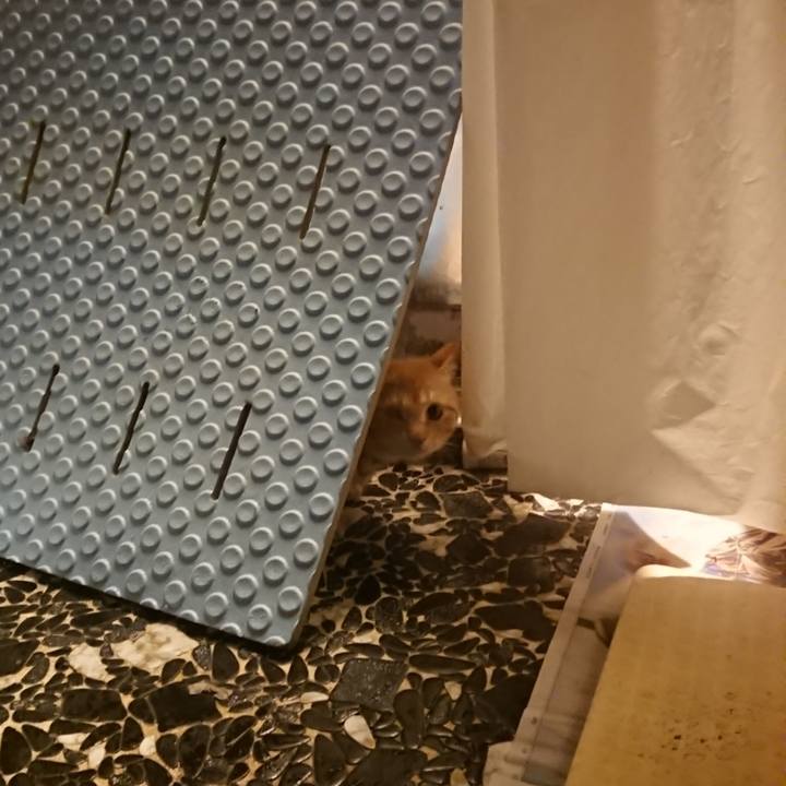 C003841d 0be2 4d57 9b19 f3077cfb09e1 1646738597936