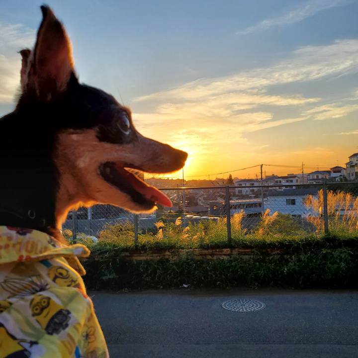 C00388c5 6121 468f aa83 01cf78691940 1727080614485