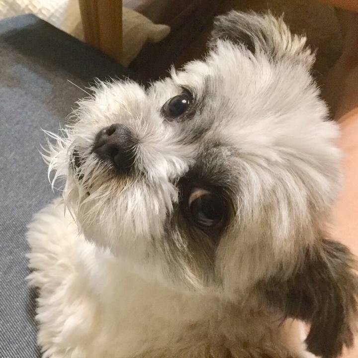 C003e798 ae96 4de6 89fd 8ac464c86163 1530060659755