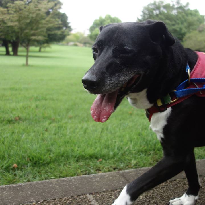 C004002c eebd 43b5 a279 7c27d09b0490 1693958460795