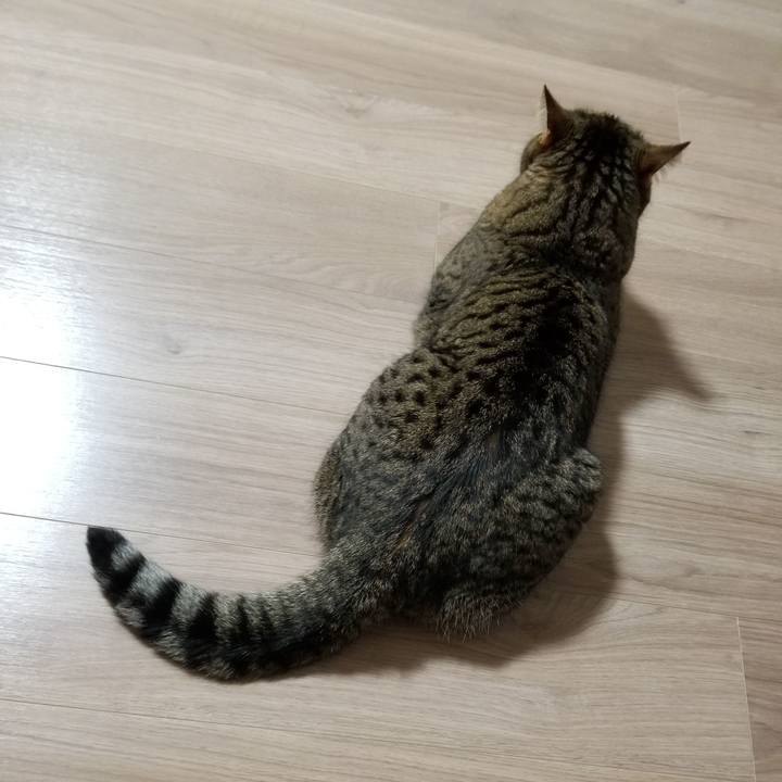 C00401e0 11b8 4e6f a772 293bb5cd36f5 1602105684627