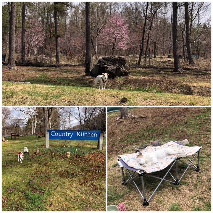 C0041042 2864 45bd a994 061e8f6d8ef7 1556789447554