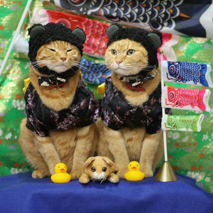 C004107d f487 4fe6 9aff d550702ac1a1 1525396872177