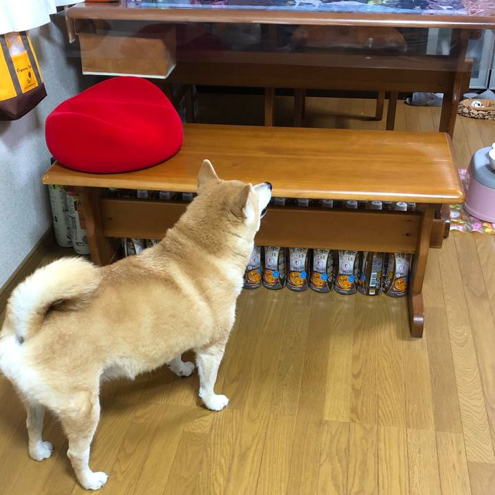 C0046a93 ff71 492b 9709 b482797b1a20 1561331829755