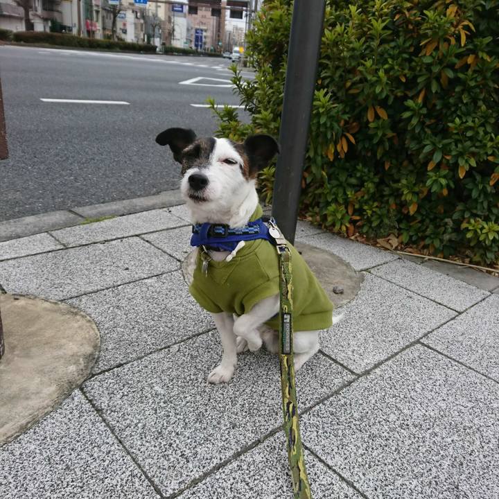 C0047449 4d68 431e a1ee 58a217f2a6c4 1515368220190