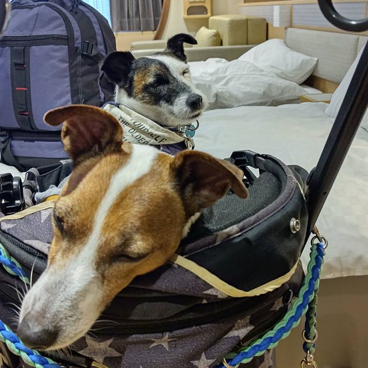 C0047954 95da 4c41 9952 d8af61c49774 1691962318110