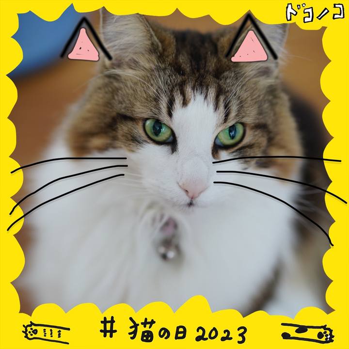 C00492ca 3c40 4147 bdf8 53769fc3d229 1677075267006