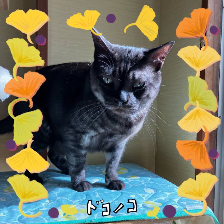 C0049698 0650 444e aa86 799cfab0e980 1731122010557