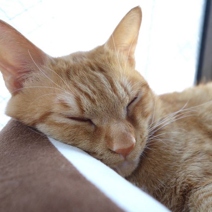 C004bc7a 2fb3 4712 beb8 96e7ec7c810d 1587796660428