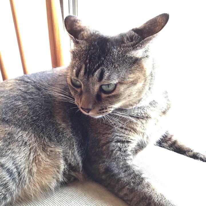 C004ea11 006e 4f60 beaa 6e8210e2d411 1666522417954