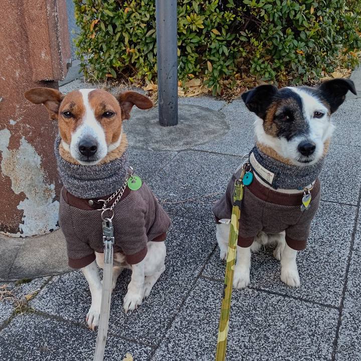 C004f1f9 b335 4b89 bac0 a32c406494b7 1673477393509