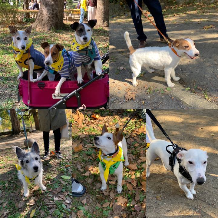 C00501a0 8b67 43ad afe3 4db7f07080bd 1606575041234