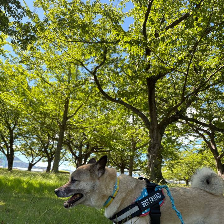 C0054015 0854 479b 8e7b ae32dc1931f5 1753519301685