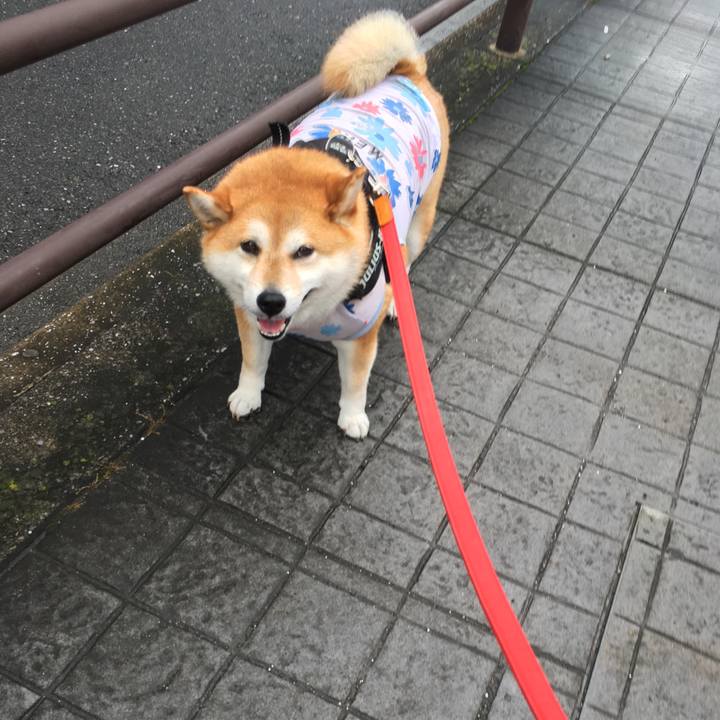 C005763c a993 4132 8809 948c124d5ded 1593823824061