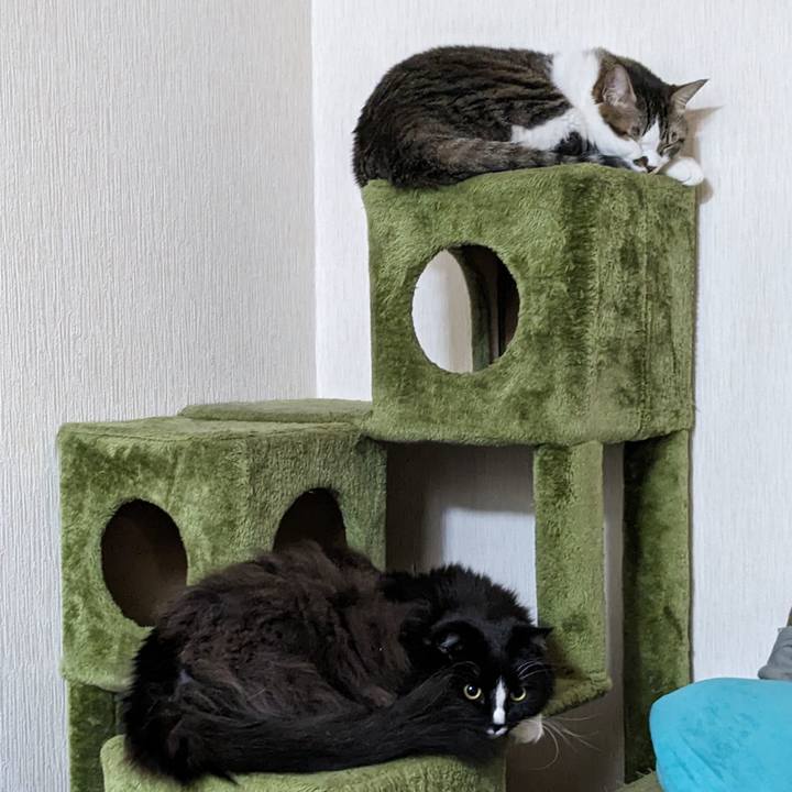 C0057d58 f29d 4bcd bb30 7d610d3a75c4 1701639880414