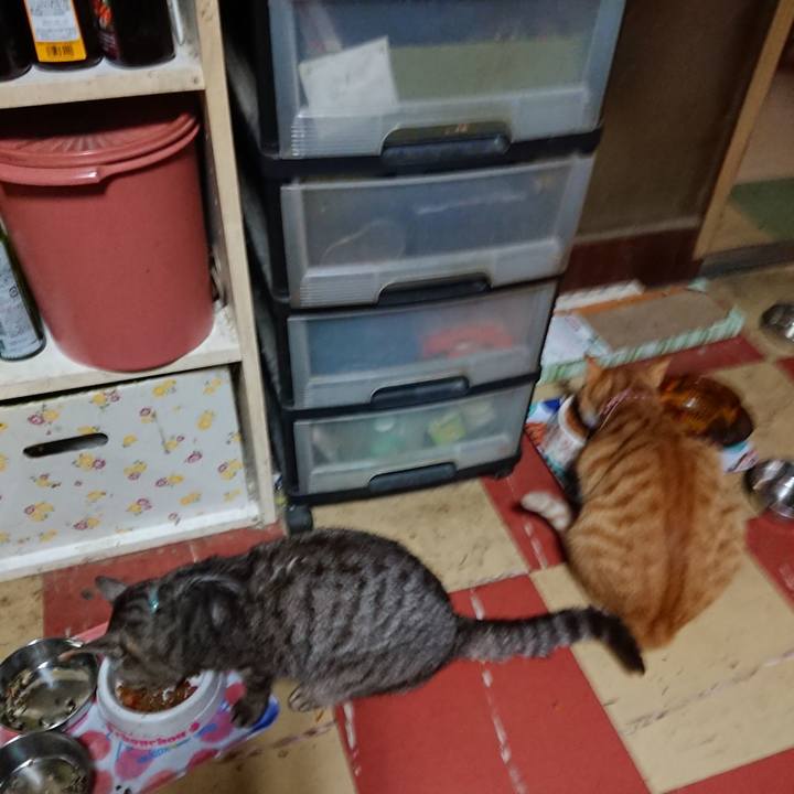 C0058324 37c4 4a63 b97e 6c426b22db74 1563738517508