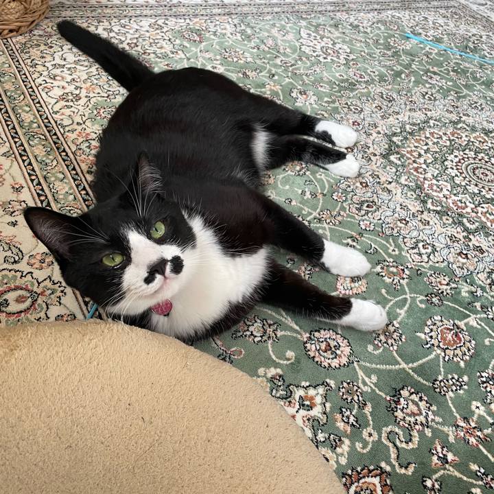 C005af11 7ecf 4913 80e5 f34db7755901 1673232931415