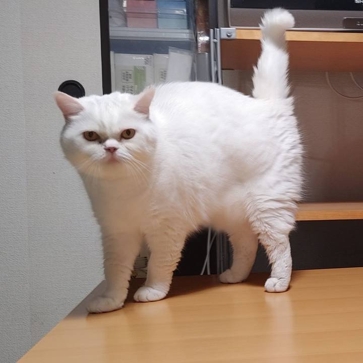 C005af82 dd4a 440d b54a 016fcb3469c9 1663041352286