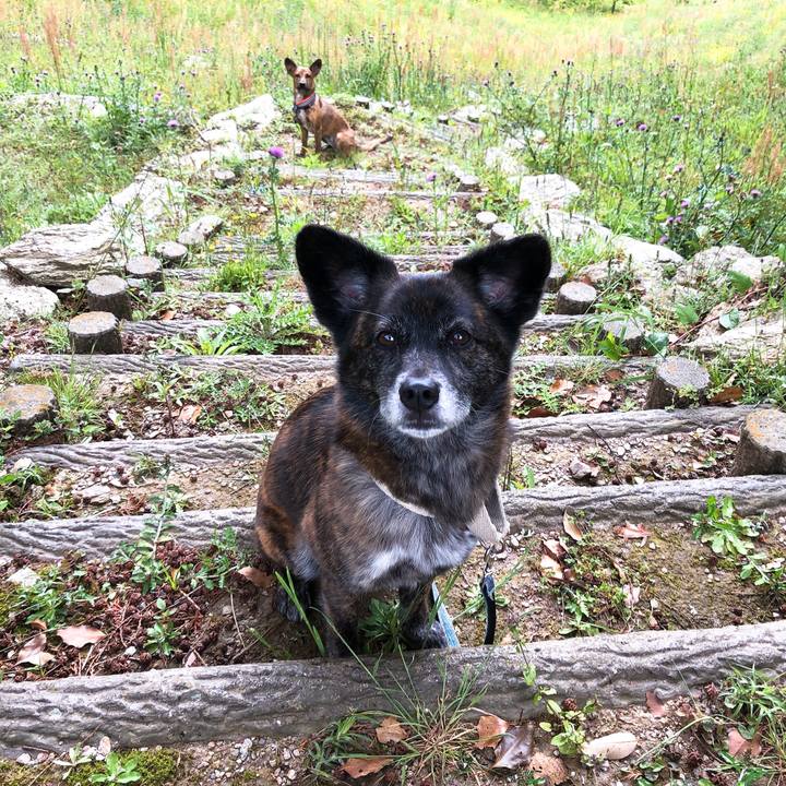 C005b334 7342 4bd3 86b7 4a611687225c 1587627108923