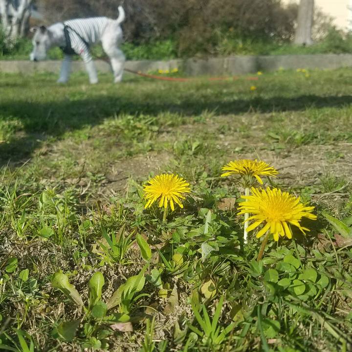 C005b3b9 3f80 4d36 ae25 73f19cca520b 1584798906671