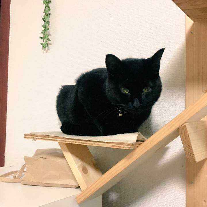 C00606b2 eb38 40a4 9e91 eaa49909c9f3 1519950819829