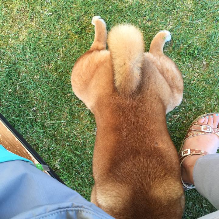 C0062303 0faa 4ab2 8e2c fae3744b146b 1527413614094