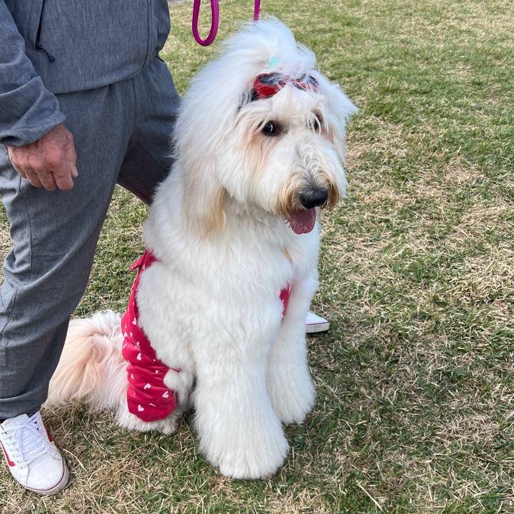 C0062dc4 699e 420e 9f3b 6e93ef34ed94 1760344446731