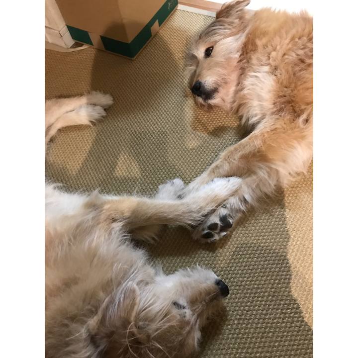 C006357d bb57 4da5 8d63 8b0419fc79be 1612744619655