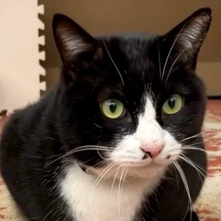 C0064111 010e 4ed2 a492 c78ab04d608a 1739152702367