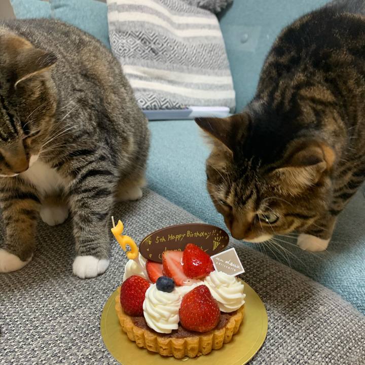 C0068727 4183 4ac5 ae86 dcca3e12790e 1662645860632