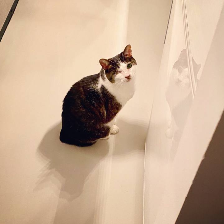 C0068d93 ac2d 48be b63c 3479b6121bf8 1587482099661