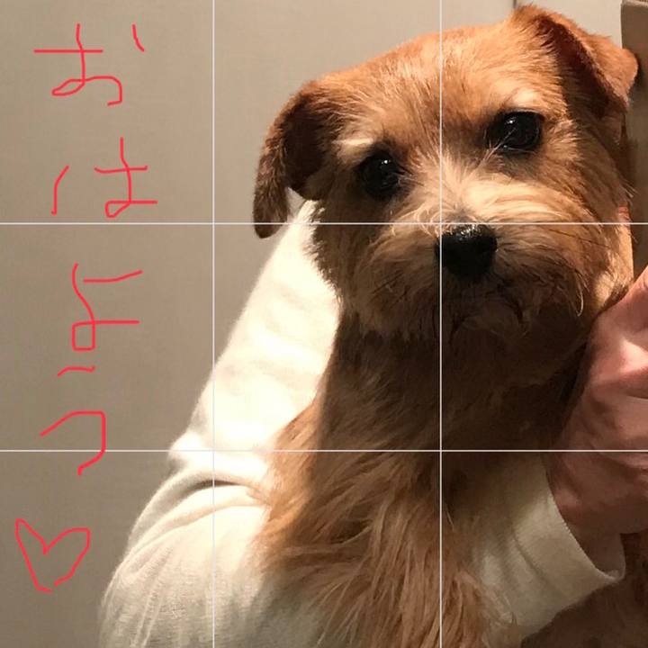 C006a564 66a3 4aac 8834 e955222af11d 1541626922422