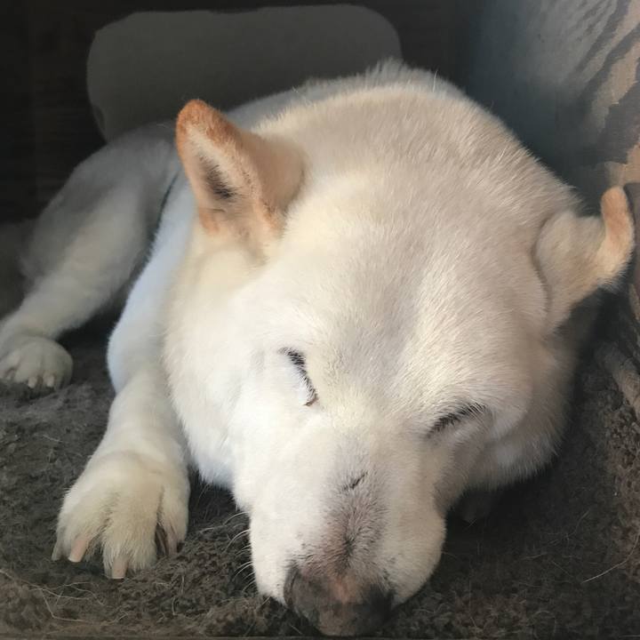 C006d6eb 403e 4e4e a1c2 1b31cbd378cc 1556936986372