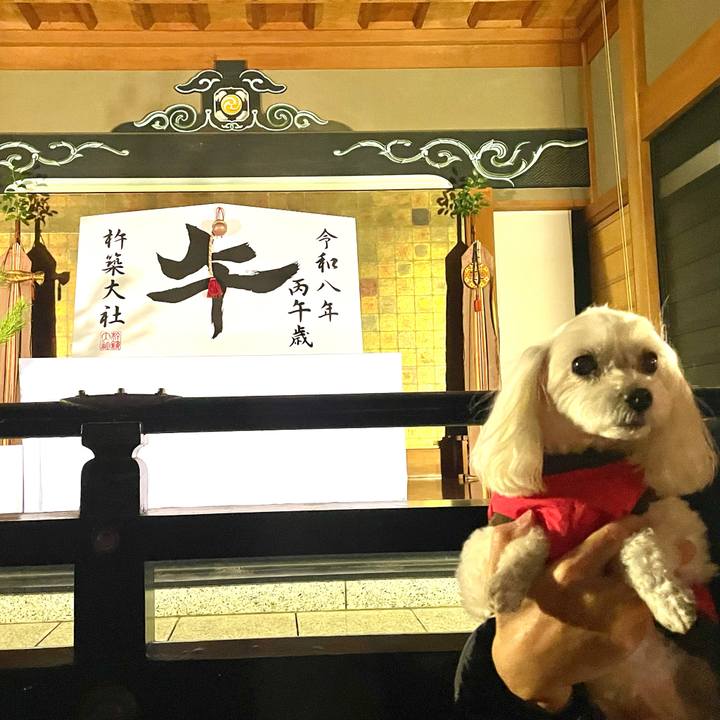 C007440d 071a 4bb0 bac0 1f322807f284 1768136653998